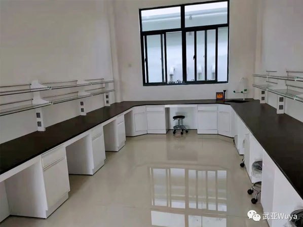 武亞 實(shí)驗(yàn)室案列 | 揚(yáng)子江藥業(yè)，重新“定義”實(shí)驗(yàn)室 New Space