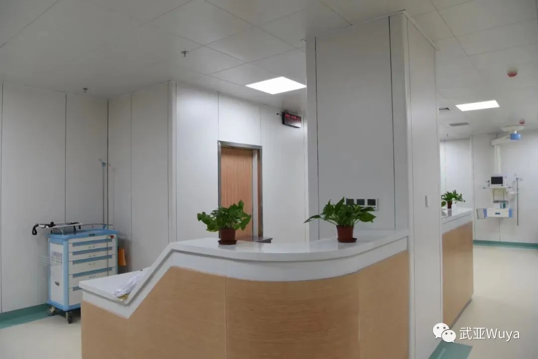 武亞 醫(yī)療案例 | 井岡山大學(xué)附屬醫(yī)院，愈人，育人，育仁