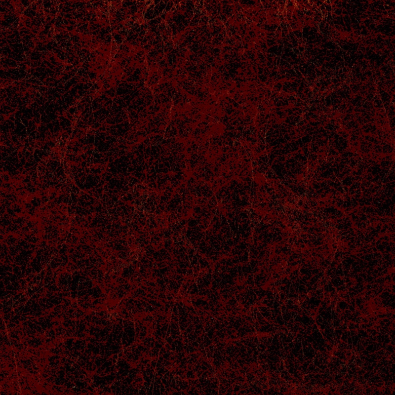 8288紅金色夢(mèng)幻