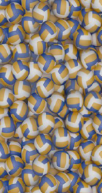 4841481011989828.png 4841481011989828.png