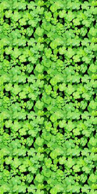 4961481078325209.png 4961481078325209.png