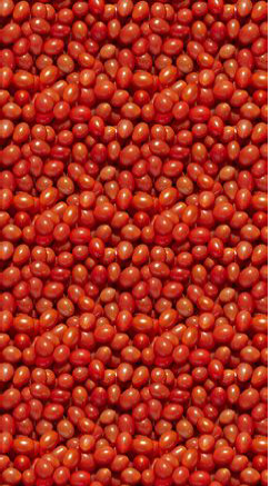 5821481078327554.png 5821481078327554.png